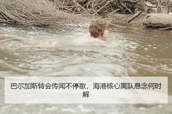 巴尔加斯转会传闻不停歇，海港核心离队悬念何时解