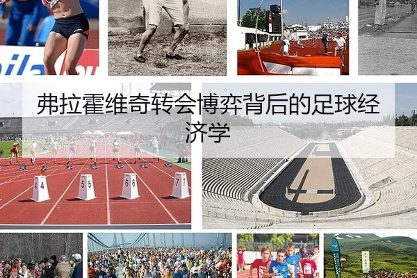 弗拉霍维奇转会博弈背后的足球经济学